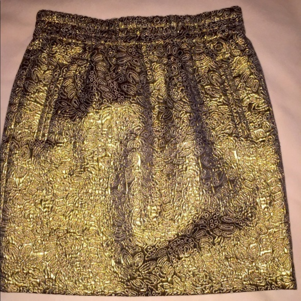 Ann Taylor LOFT Skirt